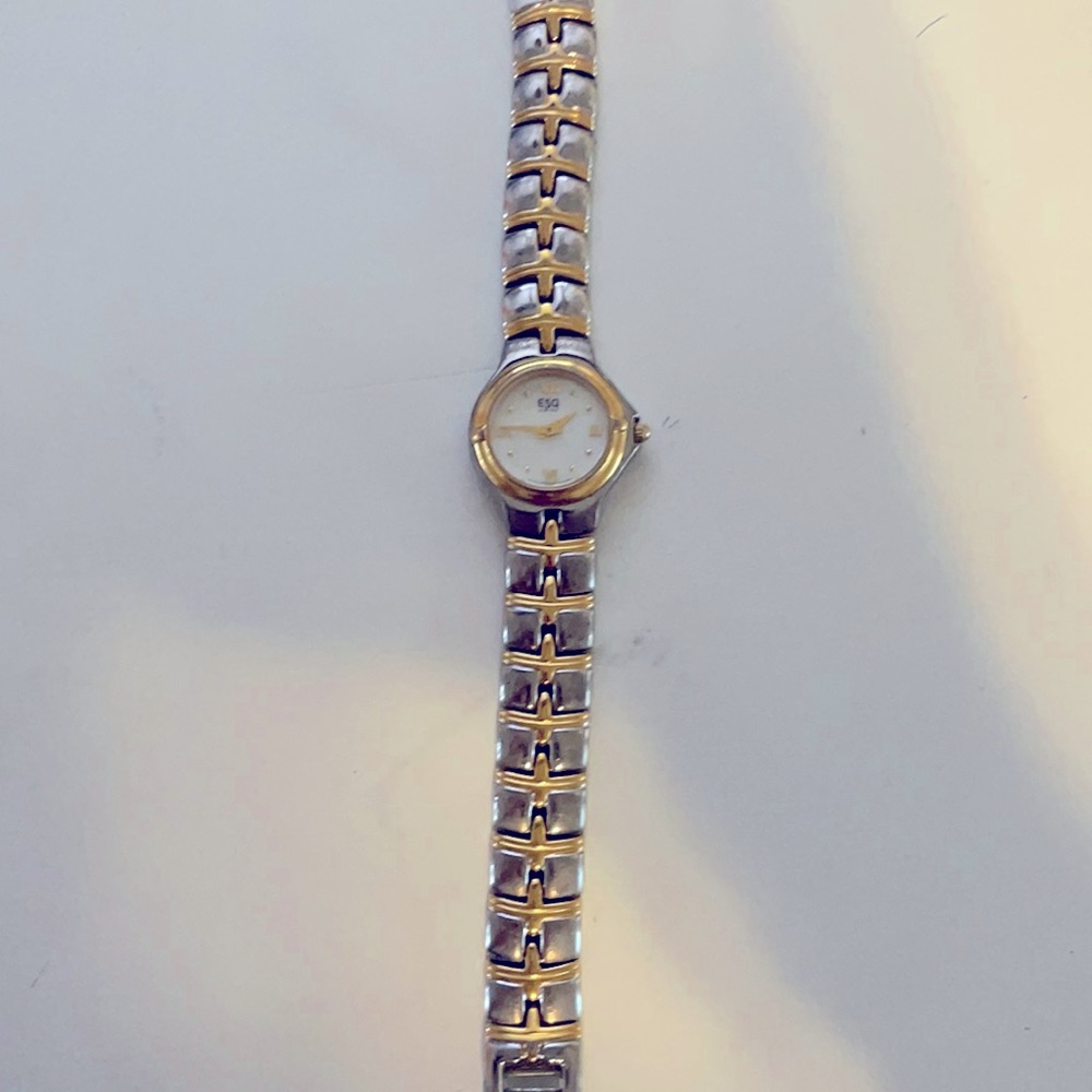 ESQ Swiss watch